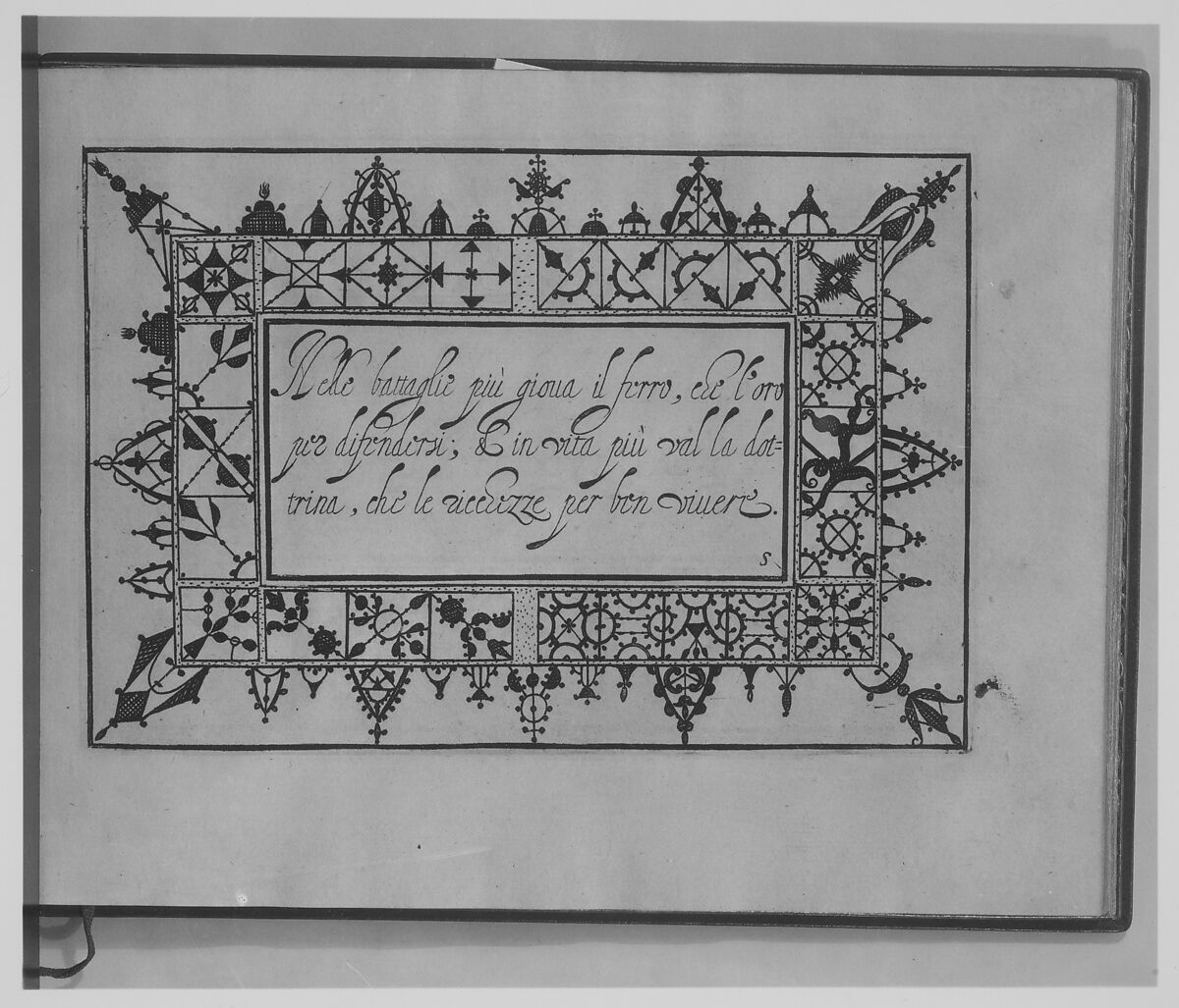 Ghirlanda: Di sei vaghi fiori scielti da piu famosi Giardini d'Italia, page 13 (recto), Pietro Paulo Tozzi (Italian, active 1593–1628), Etching and drawing