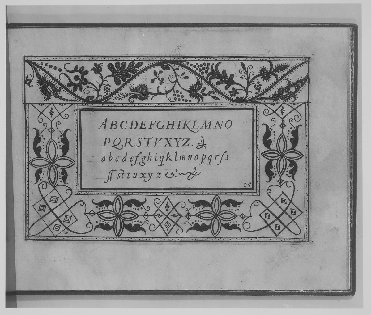 Ghirlanda: Di sei vaghi fiori scielti da piu famosi Giardini d'Italia, page 13 (recto), Pietro Paulo Tozzi (Italian, active 1593–1628), Etching and drawing