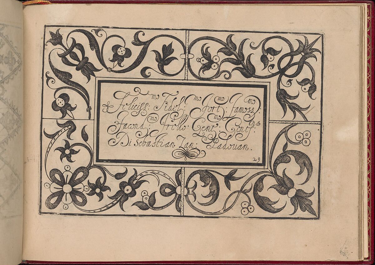 Ghirlanda: Di sei vaghi fiori scielti da piu famosi Giardini d'Italia, page 37 (recto), Pietro Paulo Tozzi (Italian, active 1593–1628), Etching and drawing 