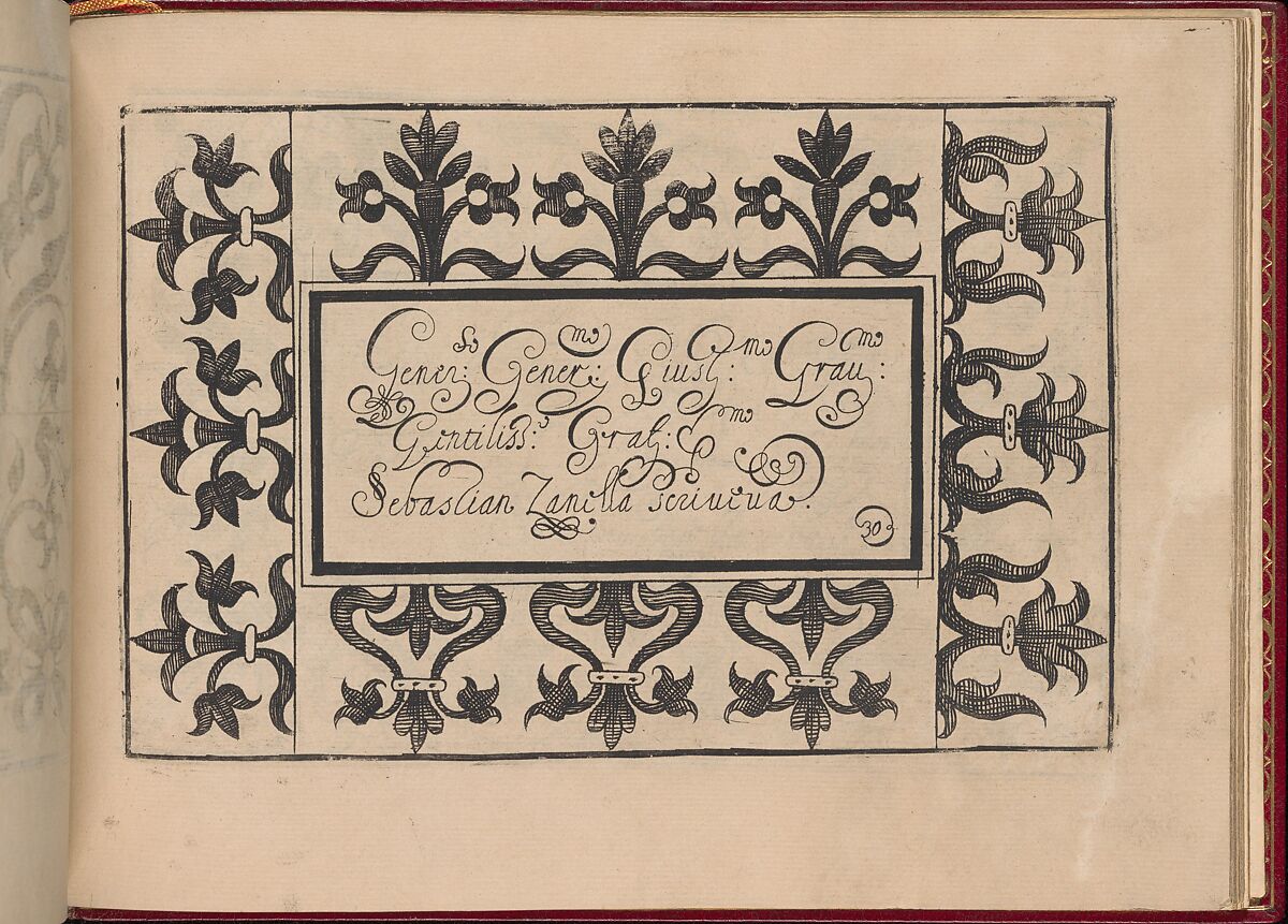 Ghirlanda: Di sei vaghi fiori scielti da piu famosi Giardini d'Italia, page 38 (recto), Pietro Paulo Tozzi (Italian, active 1593–1628), Etching and drawing 