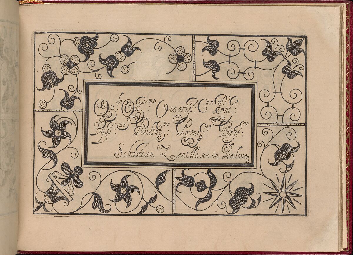 Ghirlanda: Di sei vaghi fiori scielti da piu famosi Giardini d'Italia, page 41 (recto), Pietro Paulo Tozzi (Italian, active 1593–1628), Etching and drawing 