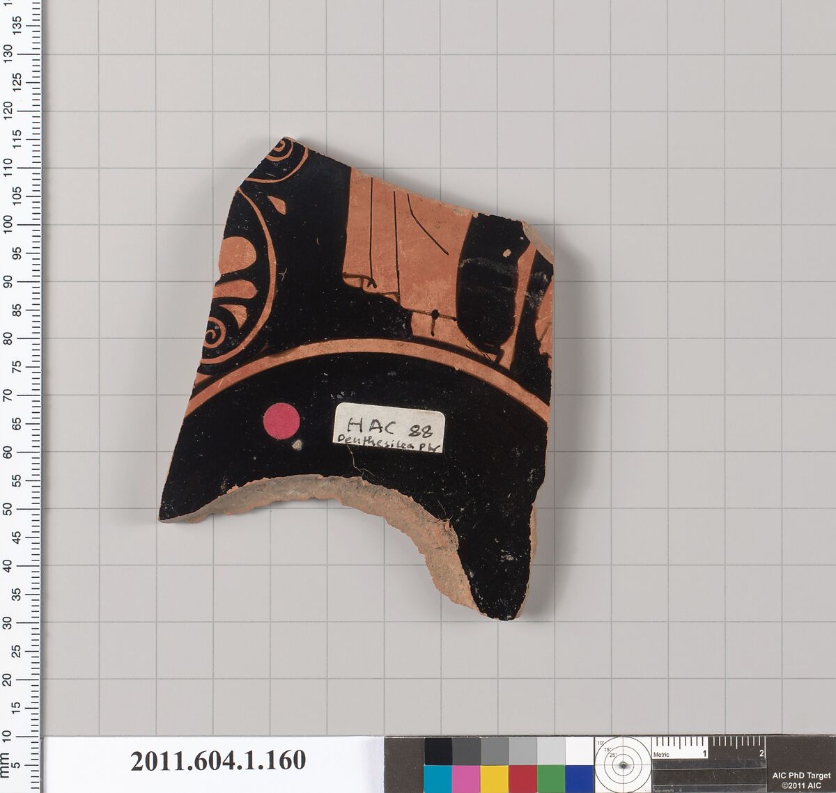 Terracotta fragment of a kylix (drinking cup), Attributed to the Penthesilea Painter [DvB], Terracotta, Greek, Attic