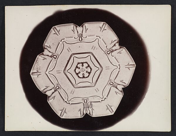 [Snow Crystal], Wilson Alwyn Bentley (American, 1865–1931), Gelatin silver print 