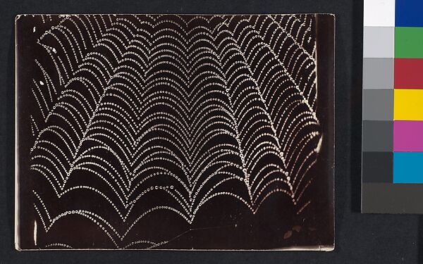 [Dew on a Spider Web], Wilson Alwyn Bentley (American, 1865–1931), Gelatin silver print 