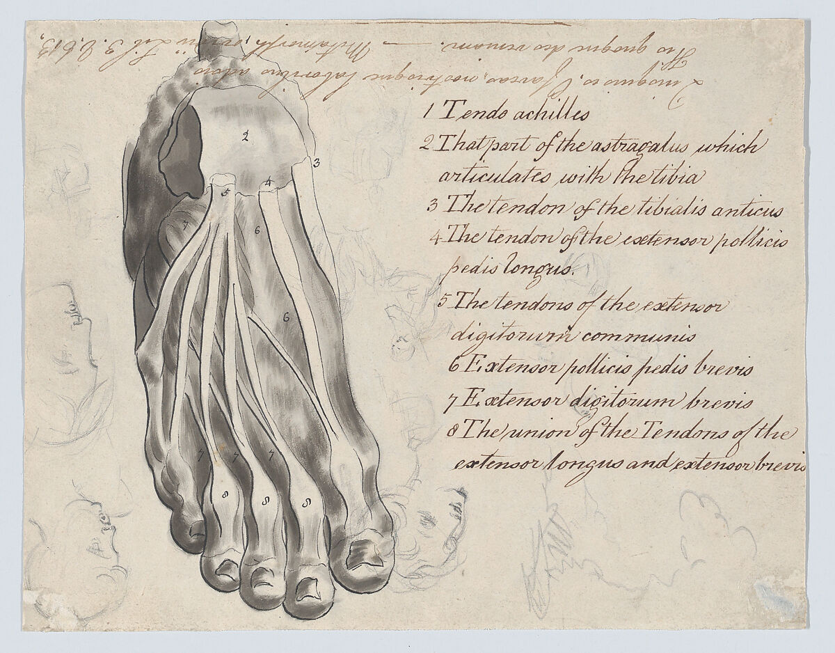 Historical subject with men and a boy near a ship (recto). Anatomical study of a foot (verso), William Hamilton (British, London 1751–1801 London), Recto: pen and black ink, brush and brown wash and watercolor, over graphite
Verso: pen and black ink, brush and wash, over graphite