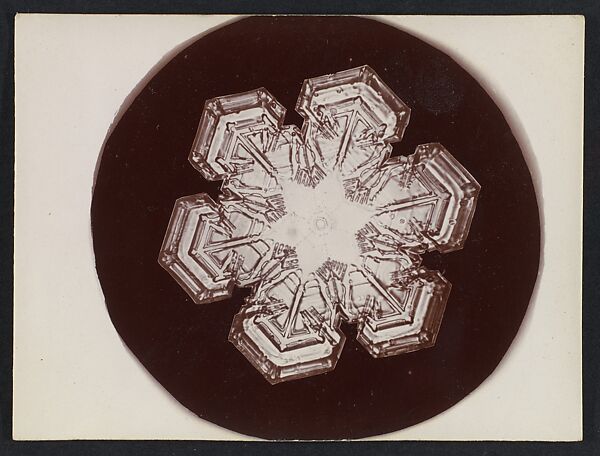 [Snow Crystal], Wilson Alwyn Bentley (American, 1865–1931), Gelatin silver print 