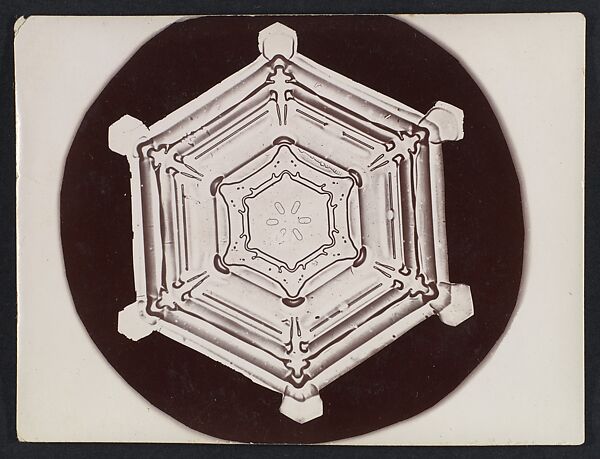 [Snow Crystal], Wilson Alwyn Bentley (American, 1865–1931), Gelatin silver print 