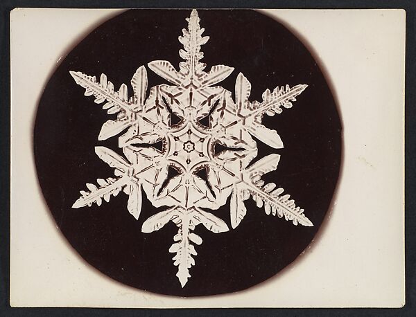 [Snow Crystal], Wilson Alwyn Bentley (American, 1865–1931), Gelatin silver print 