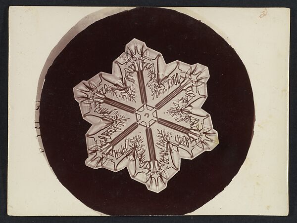 [Snow Crystal], Wilson Alwyn Bentley (American, 1865–1931), Gelatin silver print 