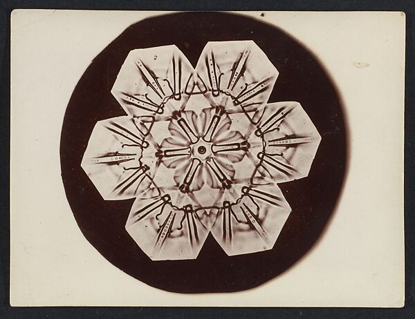 [Snow Crystal], Wilson Alwyn Bentley (American, 1865–1931), Gelatin silver print 