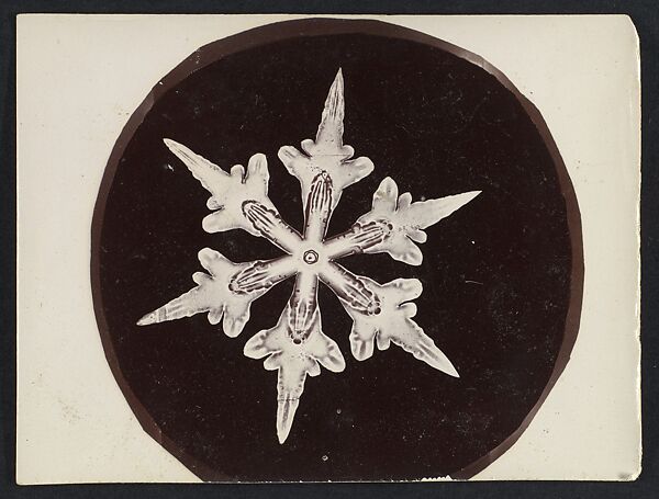 [Snow Crystal], Wilson Alwyn Bentley (American, 1865–1931), Gelatin silver print 