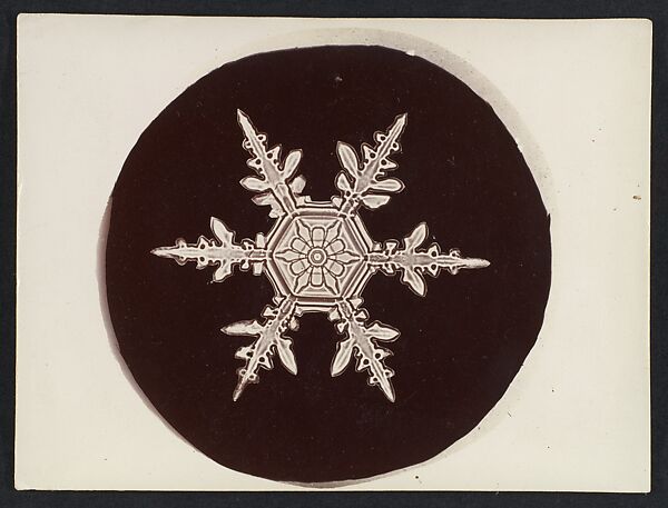 [Snow Crystal], Wilson Alwyn Bentley (American, 1865–1931), Gelatin silver print 