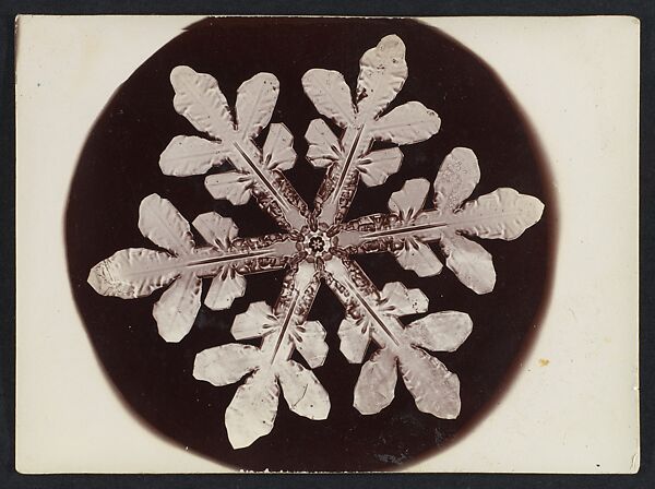 [Snow Crystal], Wilson Alwyn Bentley (American, 1865–1931), Gelatin silver print 