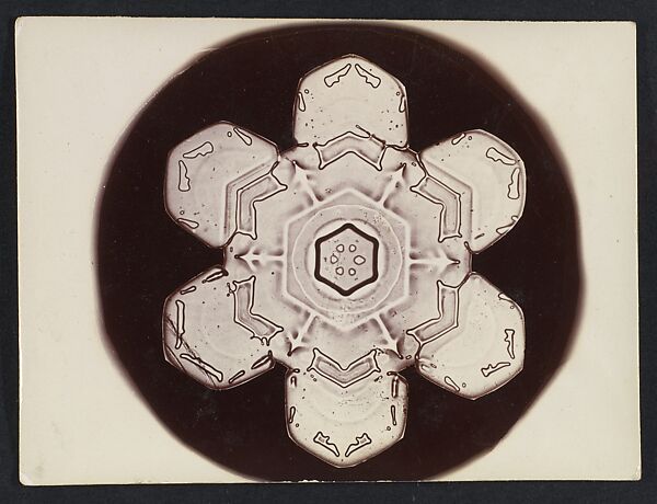 [Snow Crystal], Wilson Alwyn Bentley (American, 1865–1931), Gelatin silver print 