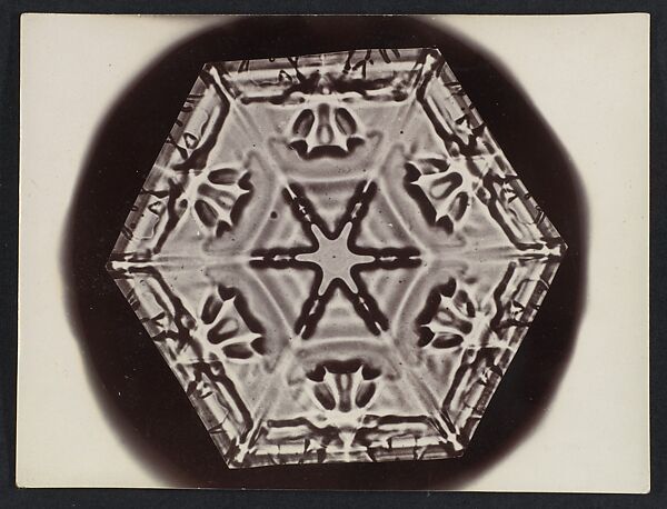 [Snow Crystal], Wilson Alwyn Bentley (American, 1865–1931), Gelatin silver print 