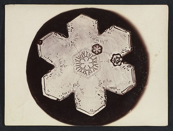 [Snow Crystal], Wilson Alwyn Bentley (American, 1865–1931), Gelatin silver print 