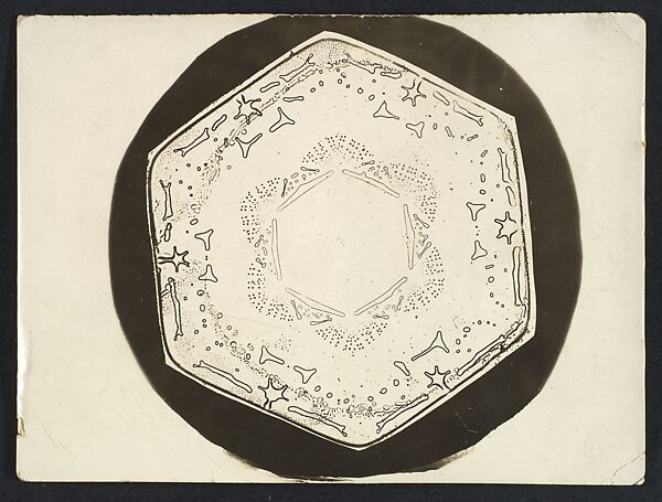 [Snow Crystal], Wilson Alwyn Bentley (American, 1865–1931), Gelatin silver print 