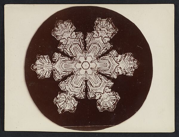 [Snow Crystal], Wilson Alwyn Bentley (American, 1865–1931), Gelatin silver print 