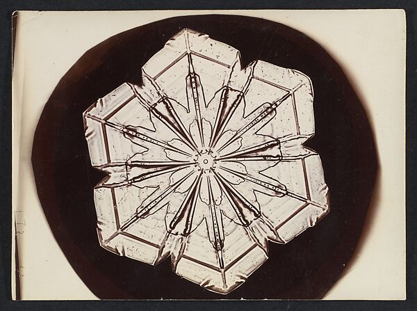 [Snow Crystal], Wilson Alwyn Bentley (American, 1865–1931), Gelatin silver print 