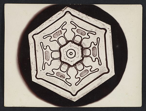 [Snow Crystal], Wilson Alwyn Bentley (American, 1865–1931), Gelatin silver print 