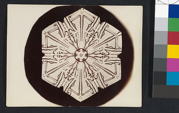 [Snow Crystal], Wilson Alwyn Bentley (American, 1865–1931), Gelatin silver print 