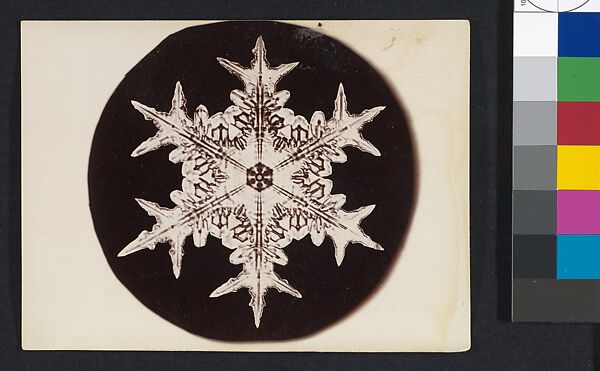 [Snow Crystal], Wilson Alwyn Bentley (American, 1865–1931), Gelatin silver print 