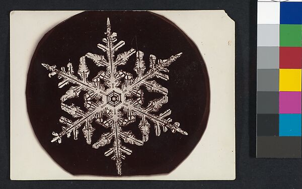 [Snow Crystal], Wilson Alwyn Bentley (American, 1865–1931), Gelatin silver print 