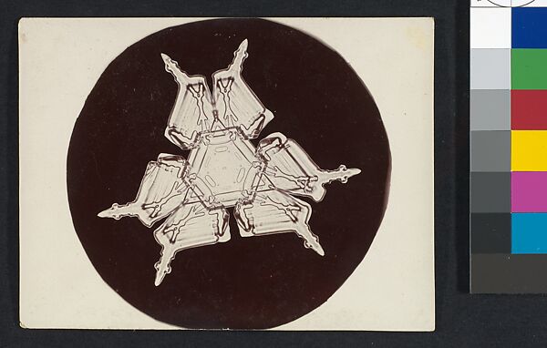 [Snow Crystal], Wilson Alwyn Bentley (American, 1865–1931), Gelatin silver print 