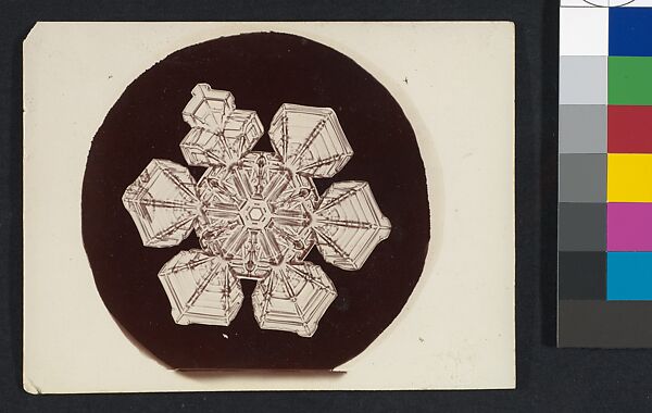 [Snow Crystal], Wilson Alwyn Bentley (American, 1865–1931), Gelatin silver print 