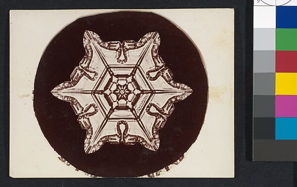 [Snow Crystal], Wilson Alwyn Bentley (American, 1865–1931), Gelatin silver print 