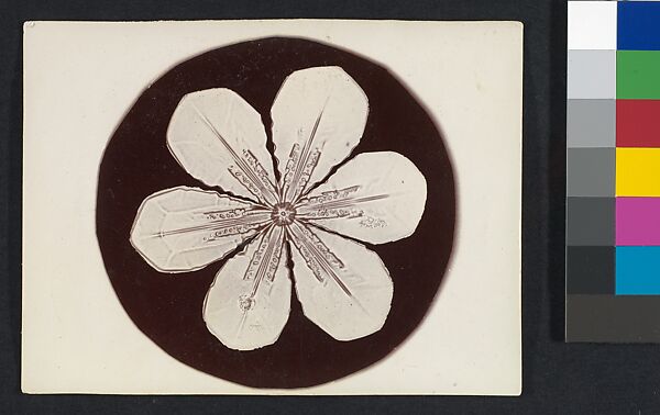 [Snow Crystal], Wilson Alwyn Bentley (American, 1865–1931), Gelatin silver print 