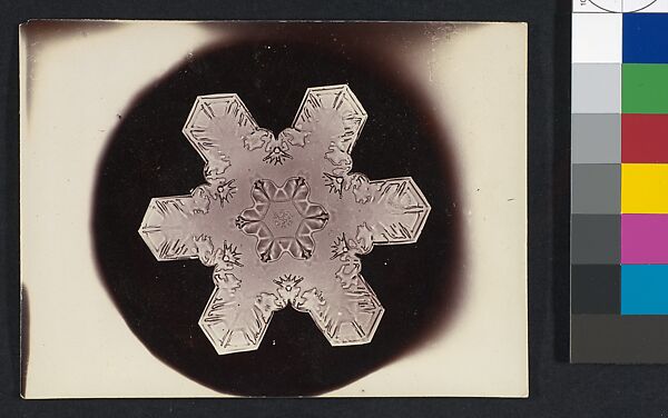 [Snow Crystal], Wilson Alwyn Bentley (American, 1865–1931), Gelatin silver print 