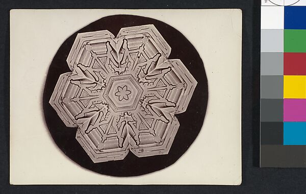 [Snow Crystal], Wilson Alwyn Bentley (American, 1865–1931), Gelatin silver print 