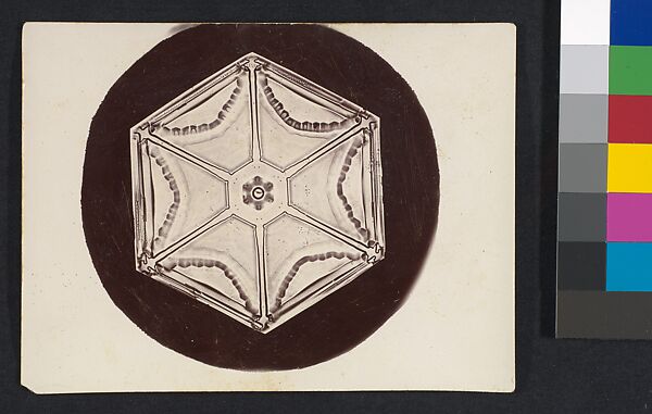 [Snow Crystal], Wilson Alwyn Bentley (American, 1865–1931), Gelatin silver print 