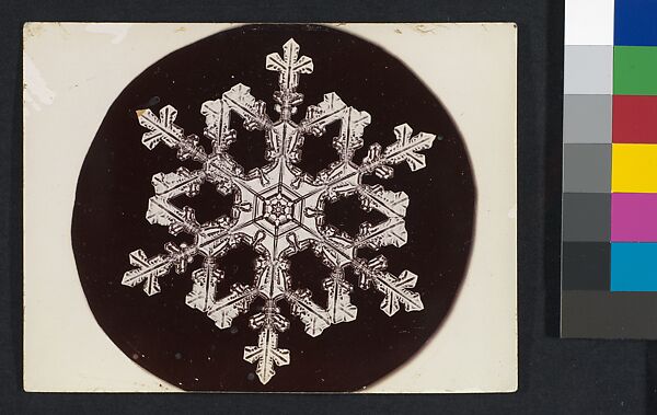 [Snow Crystal], Wilson Alwyn Bentley (American, 1865–1931), Gelatin silver print 