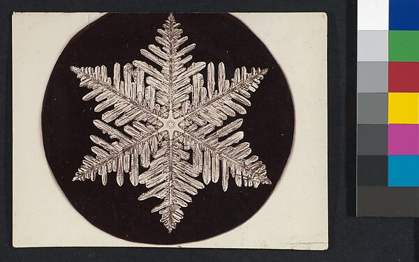 [Snow Crystal], Wilson Alwyn Bentley (American, 1865–1931), Gelatin silver print 