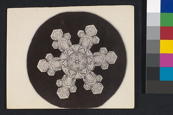 [Snow Crystal], Wilson Alwyn Bentley (American, 1865–1931), Gelatin silver print 