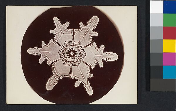 [Snow Crystal], Wilson Alwyn Bentley (American, 1865–1931), Gelatin silver print 