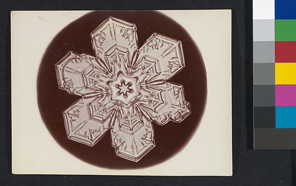 [Snow Crystal], Wilson Alwyn Bentley (American, 1865–1931), Gelatin silver print 