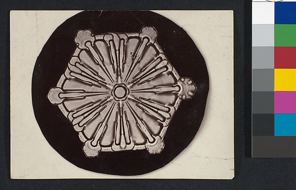 [Snow Crystal], Wilson Alwyn Bentley (American, 1865–1931), Gelatin silver print 