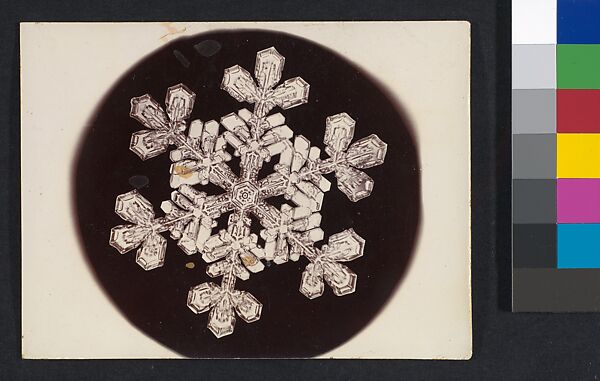 [Snow Crystal], Wilson Alwyn Bentley (American, 1865–1931), Gelatin silver print 