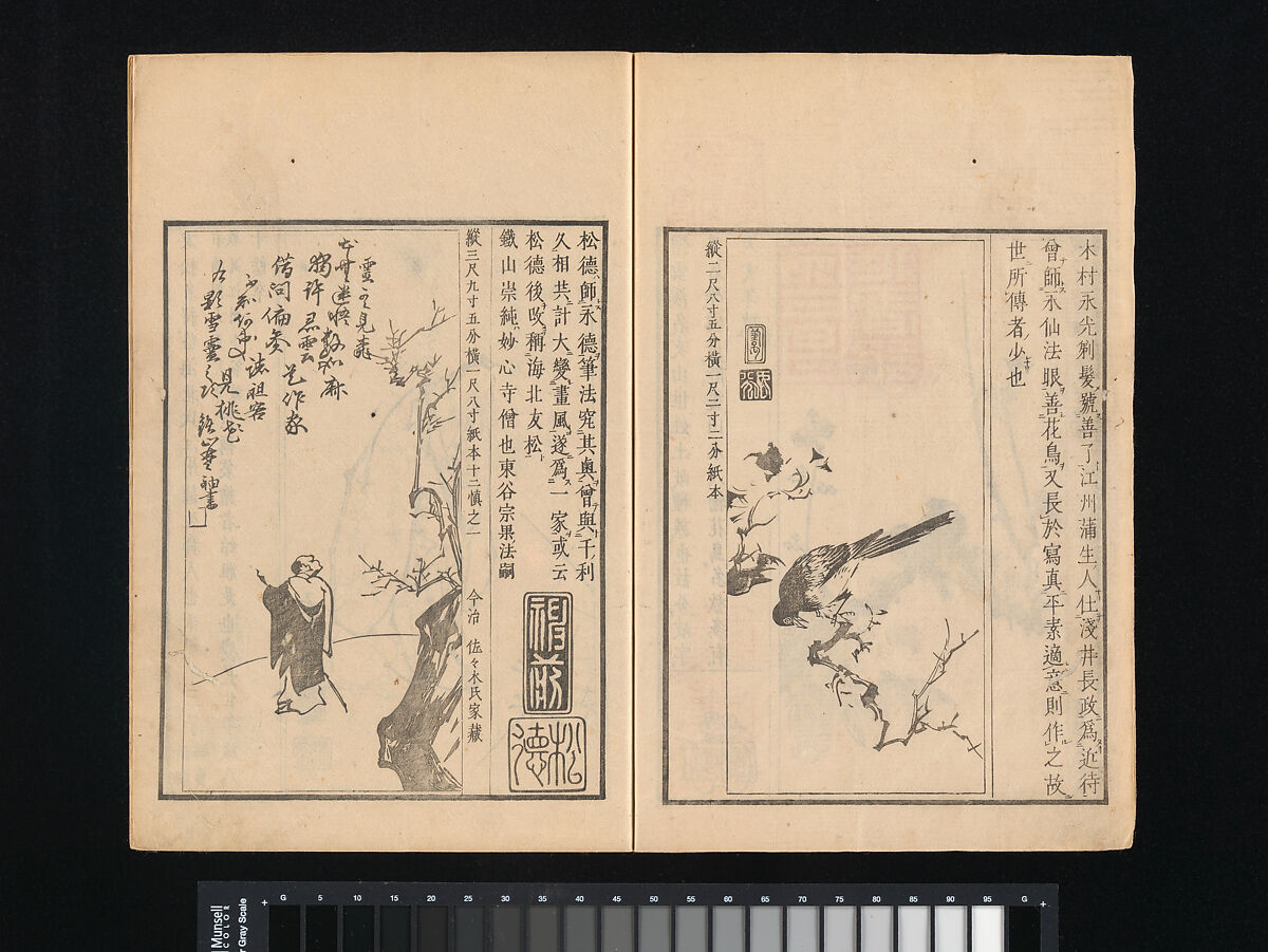 Collection of Japanese 
Paintings, Tani Bunchō (Japanese, 1763–1840), Eight woodblock printed books; ink and color on paper, Japan