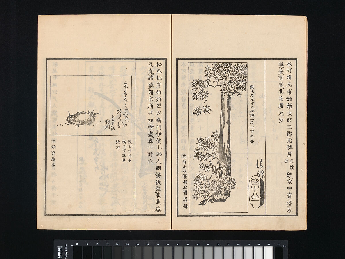 Collection of Japanese 
Paintings, Tani Bunchō (Japanese, 1763–1840), Eight woodblock printed books; ink and color on paper, Japan