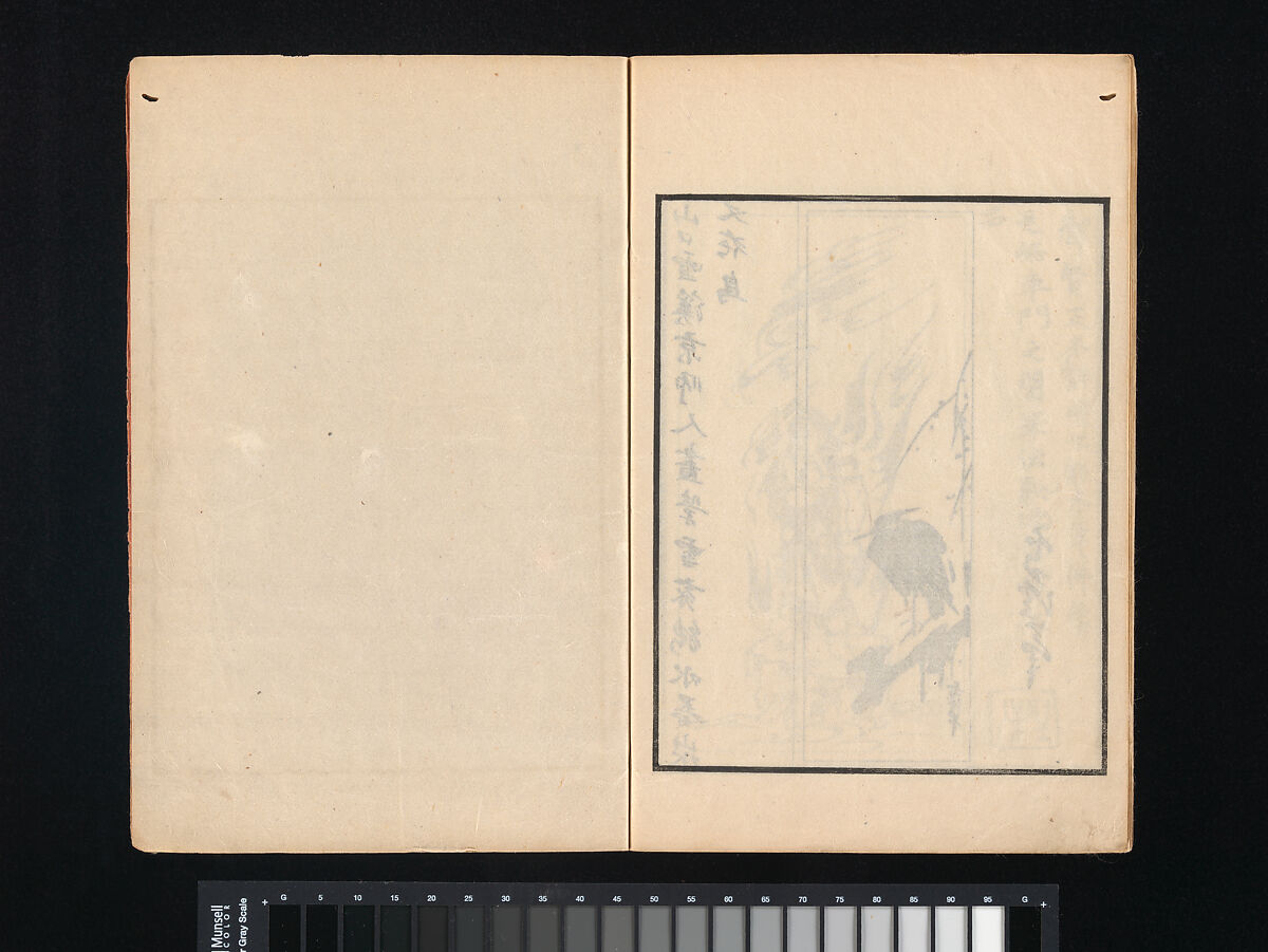 Collection of Japanese 
Paintings, Tani Bunchō (Japanese, 1763–1840), Eight woodblock printed books; ink and color on paper, Japan