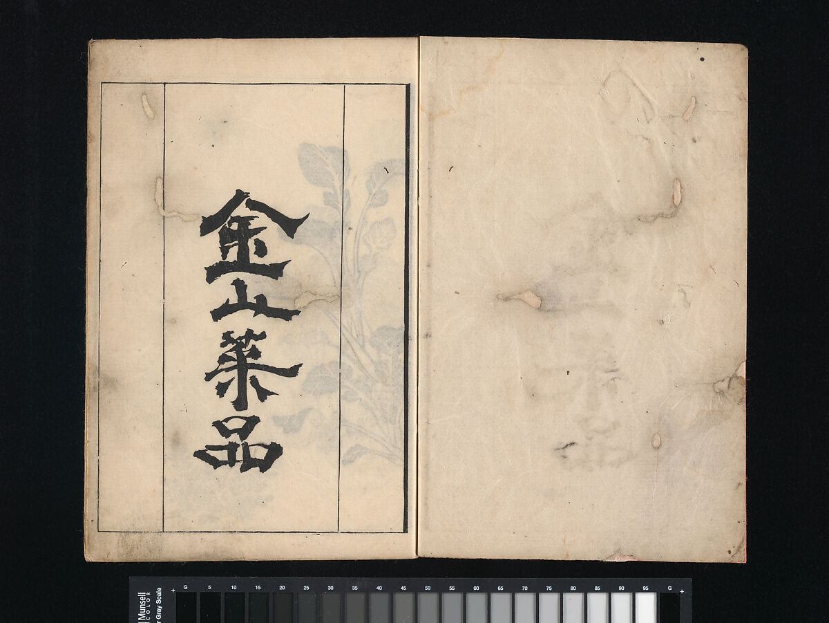 Collection of Japanese 
Paintings, Tani Bunchō (Japanese, 1763–1840), Eight woodblock printed books; ink and color on paper, Japan