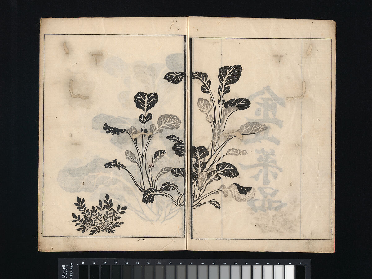 Collection of Japanese 
Paintings, Tani Bunchō (Japanese, 1763–1840), Eight woodblock printed books; ink and color on paper, Japan