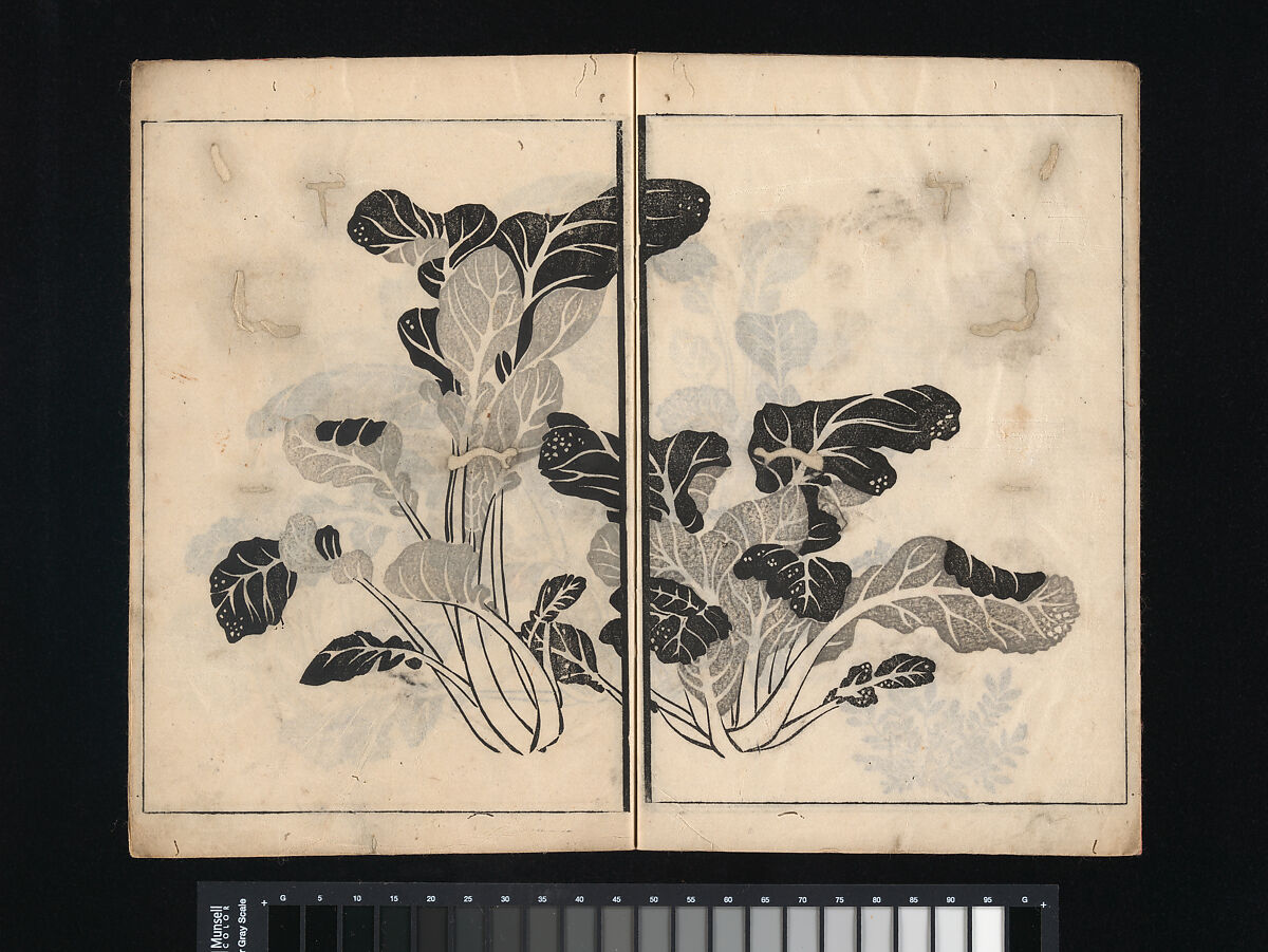 Collection of Japanese 
Paintings, Tani Bunchō (Japanese, 1763–1840), Eight woodblock printed books; ink and color on paper, Japan