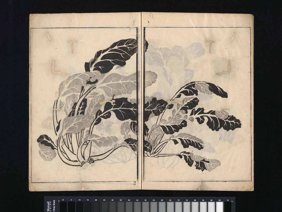 Collection of Japanese 
Paintings, Tani Bunchō (Japanese, 1763–1840), Eight woodblock printed books; ink and color on paper, Japan