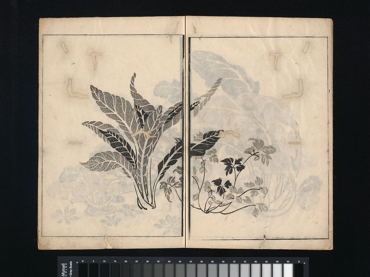 Collection of Japanese 
Paintings, Tani Bunchō (Japanese, 1763–1840), Eight woodblock printed books; ink and color on paper, Japan
