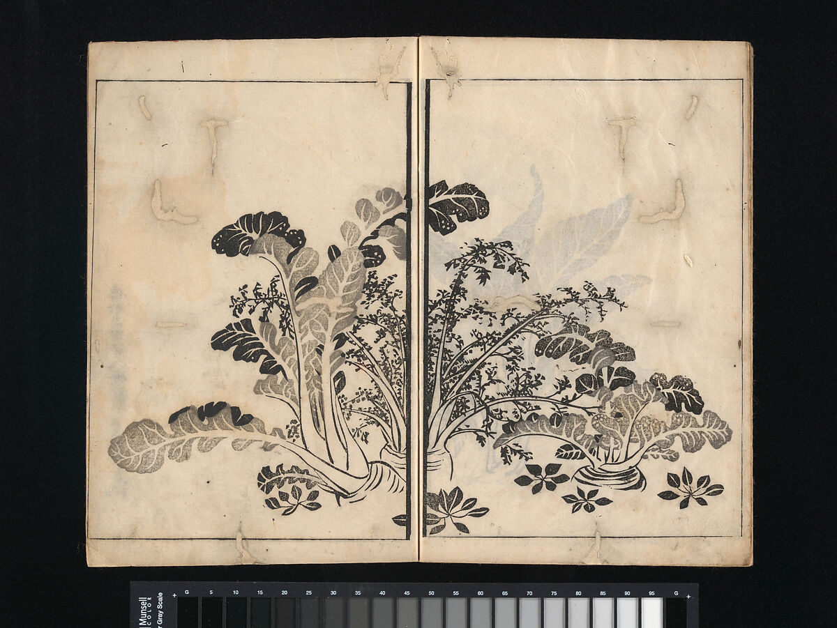 Collection of Japanese 
Paintings, Tani Bunchō (Japanese, 1763–1840), Eight woodblock printed books; ink and color on paper, Japan
